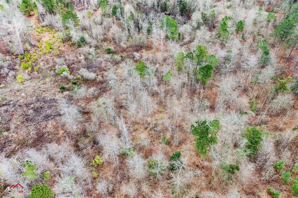 Tbd Tbd Haynes Road Marshall, TX 75670 - Photo 23 of 27 a view of a plants with a plant