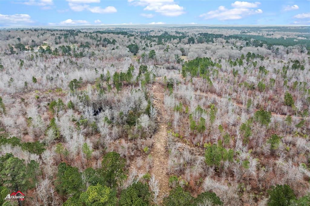 Tbd Tbd Haynes Road Marshall, TX 75670 - Photo 3 of 27 a view of a city with lush green forest