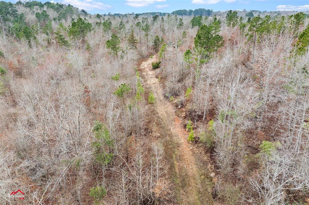 Tbd Tbd Haynes Road Marshall, TX 75670 - Photo 5 of 27 a view of a yard with a tree