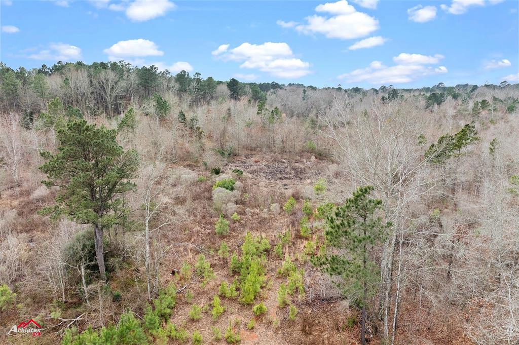 Tbd Tbd Haynes Road Marshall, TX 75670 - Photo 6 of 27