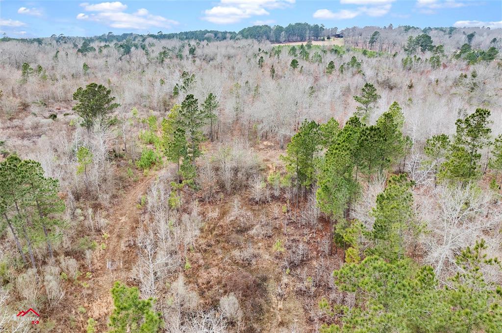 Tbd Tbd Haynes Road Marshall, TX 75670 - Photo 7 of 27 a view of a city with green field