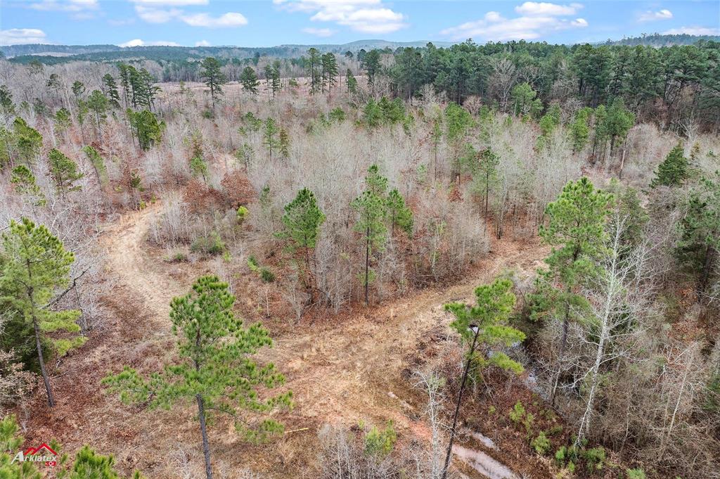 Tbd Tbd Haynes Road Marshall, TX 75670 - Photo 9 of 27 a view of lake with mountain in background