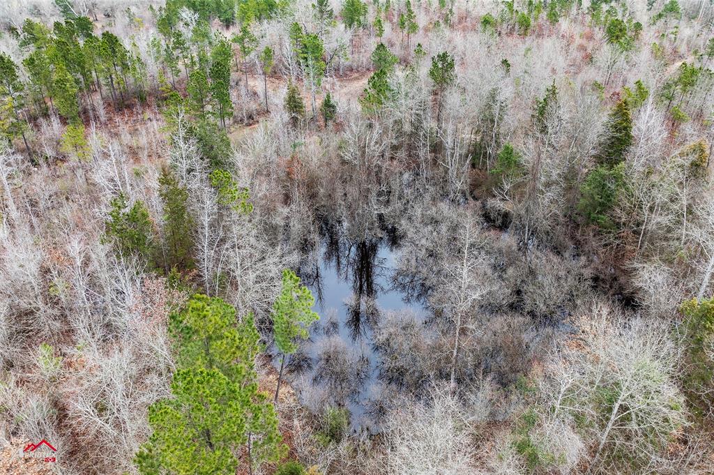 Tbd Tbd Haynes Road Marshall, TX 75670 - Photo 10 of 27 a aerial view of residential house with plants and trees