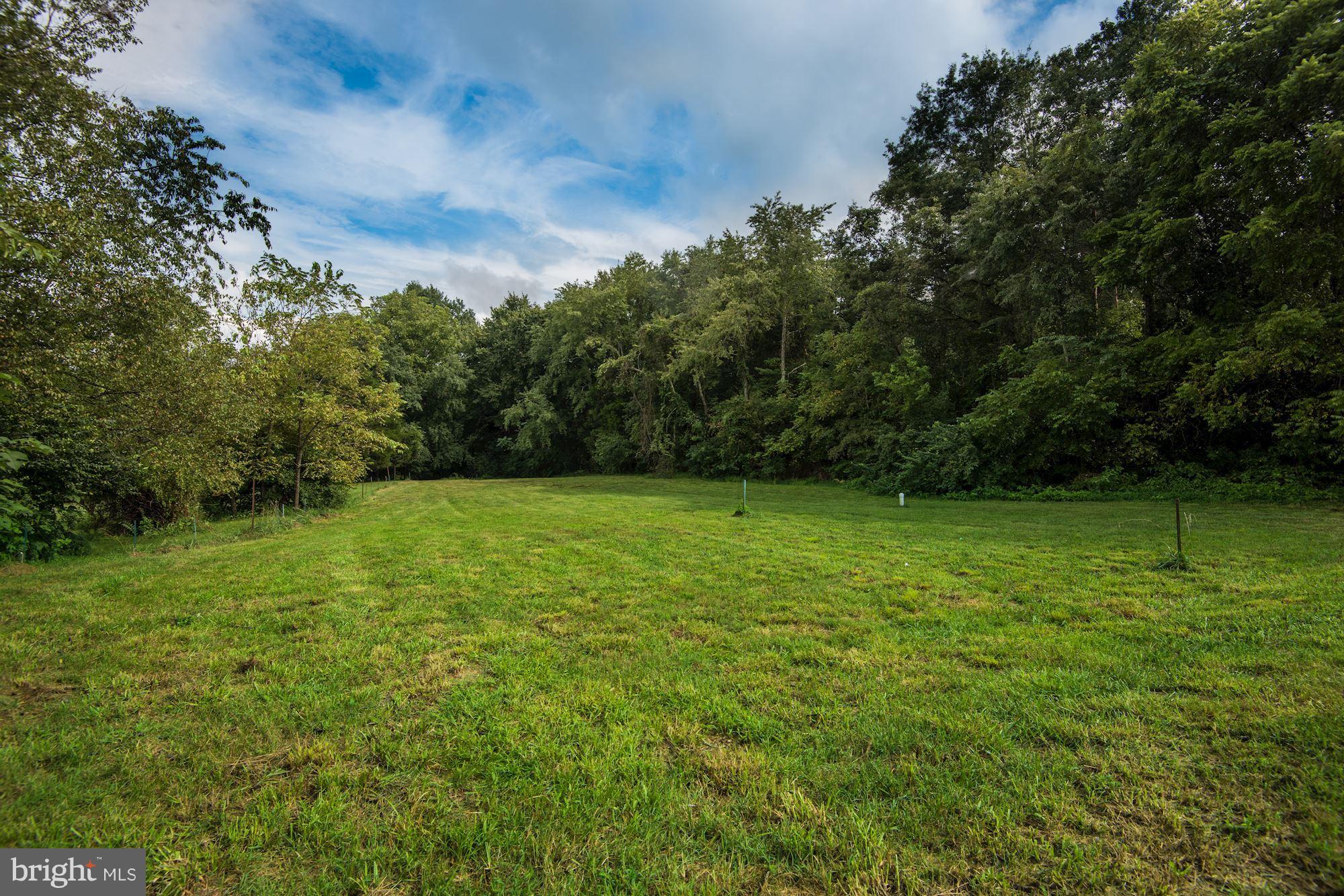 10813 Elk Run Road Catlett, VA 20119 - Photo 21 of 30 Exterior (Rear)