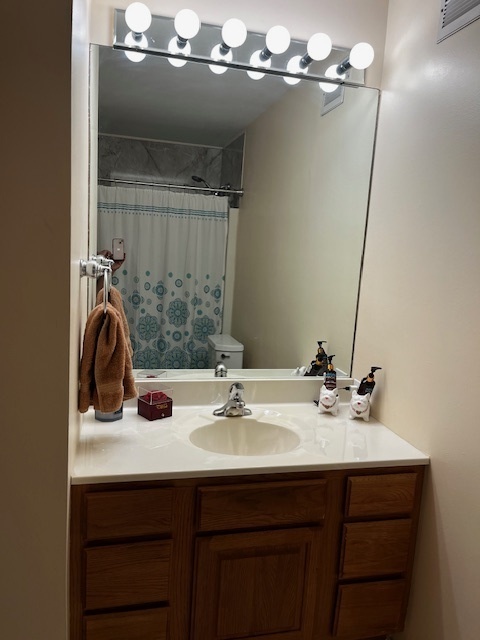 1301 South Finley Road, Unit 414 Lombard, IL 60148 - Photo 17 of 25 a bathroom with a sink and a mirror