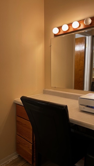 1301 South Finley Road, Unit 414 Lombard, IL 60148 - Photo 18 of 25 a bathroom with a sink and a mirror