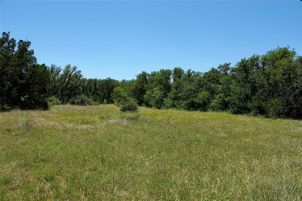 219 C R 550 Mullin, TX 76864 - Photo 10 of 37 a view of a field with trees in the background