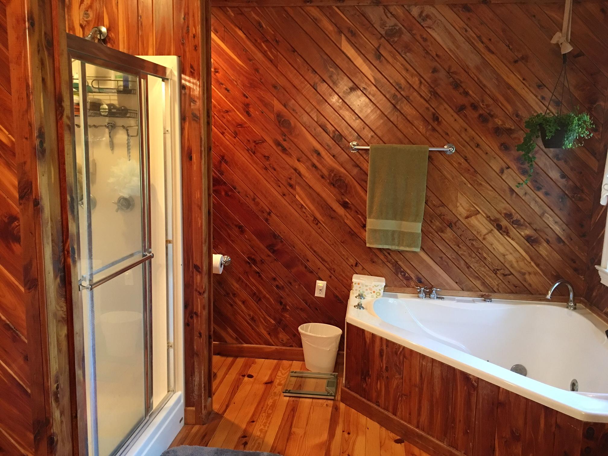 607 Merritt Road Washburn, TN 37888 - Photo 13 of 40 madeira master bath