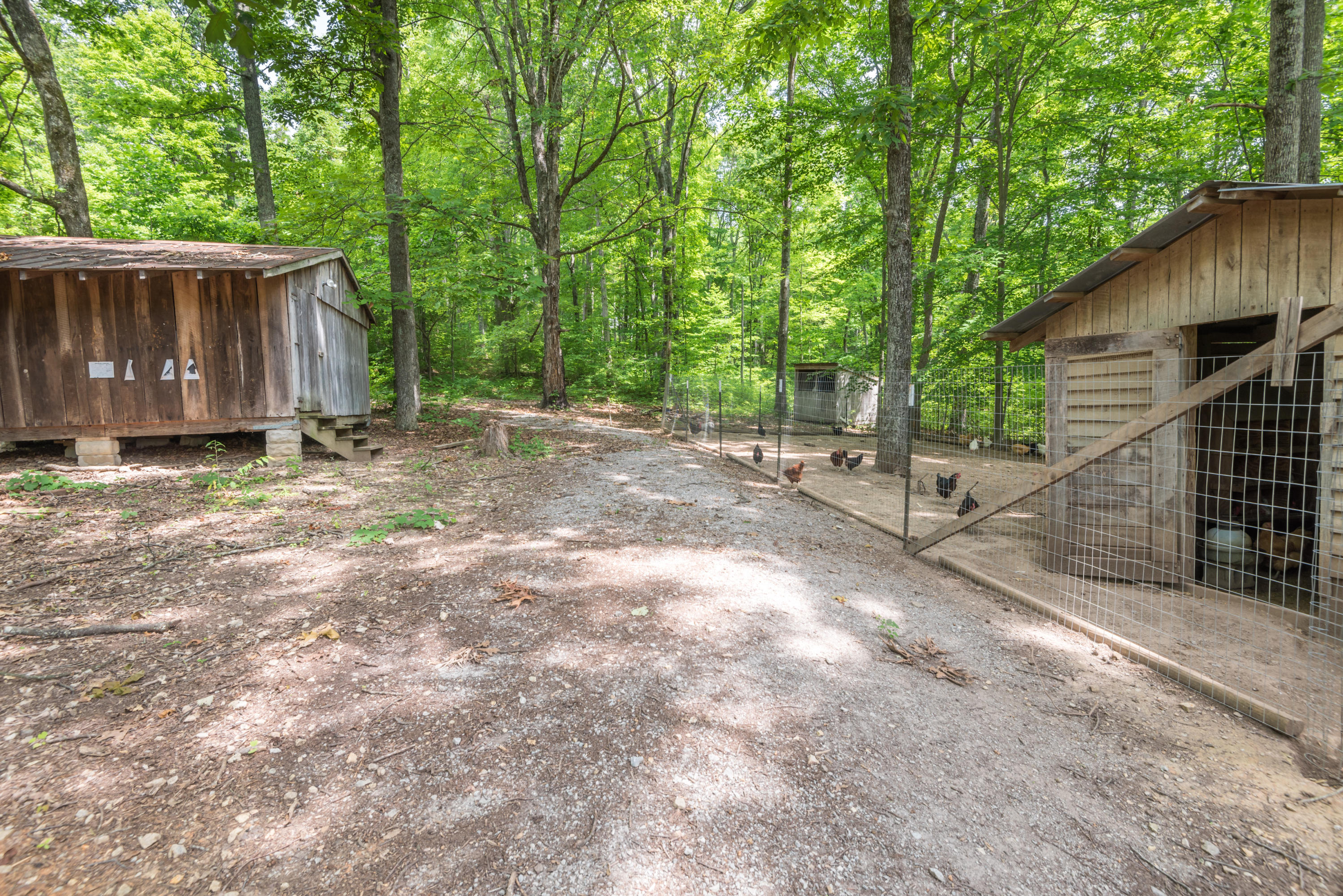 607 Merritt Road Washburn, TN 37888 - Photo 32 of 40 Chicken Coop/ Pig Pen