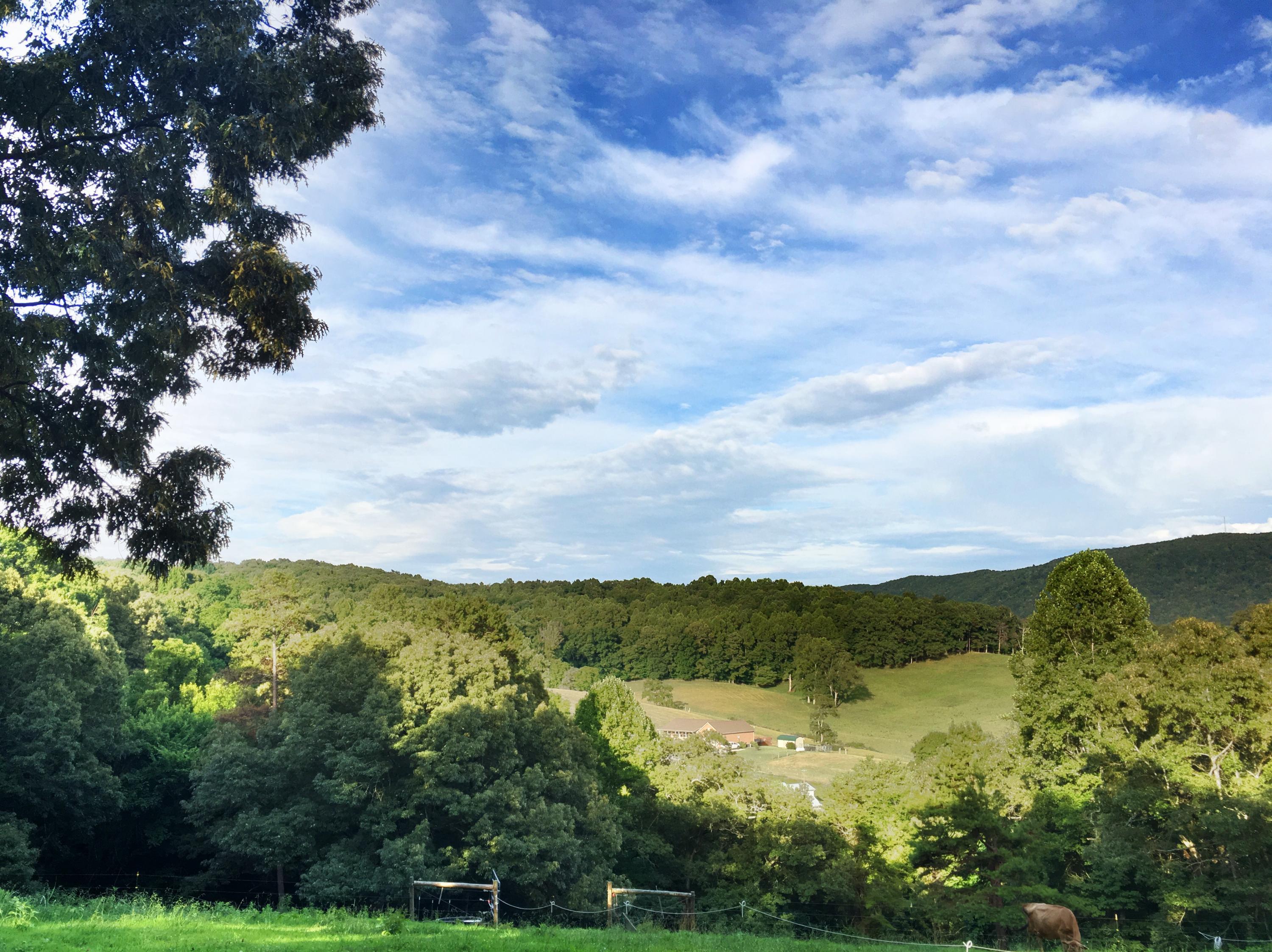 607 Merritt Road Washburn, TN 37888 - Photo 35 of 40 Beautiful Mountain Views