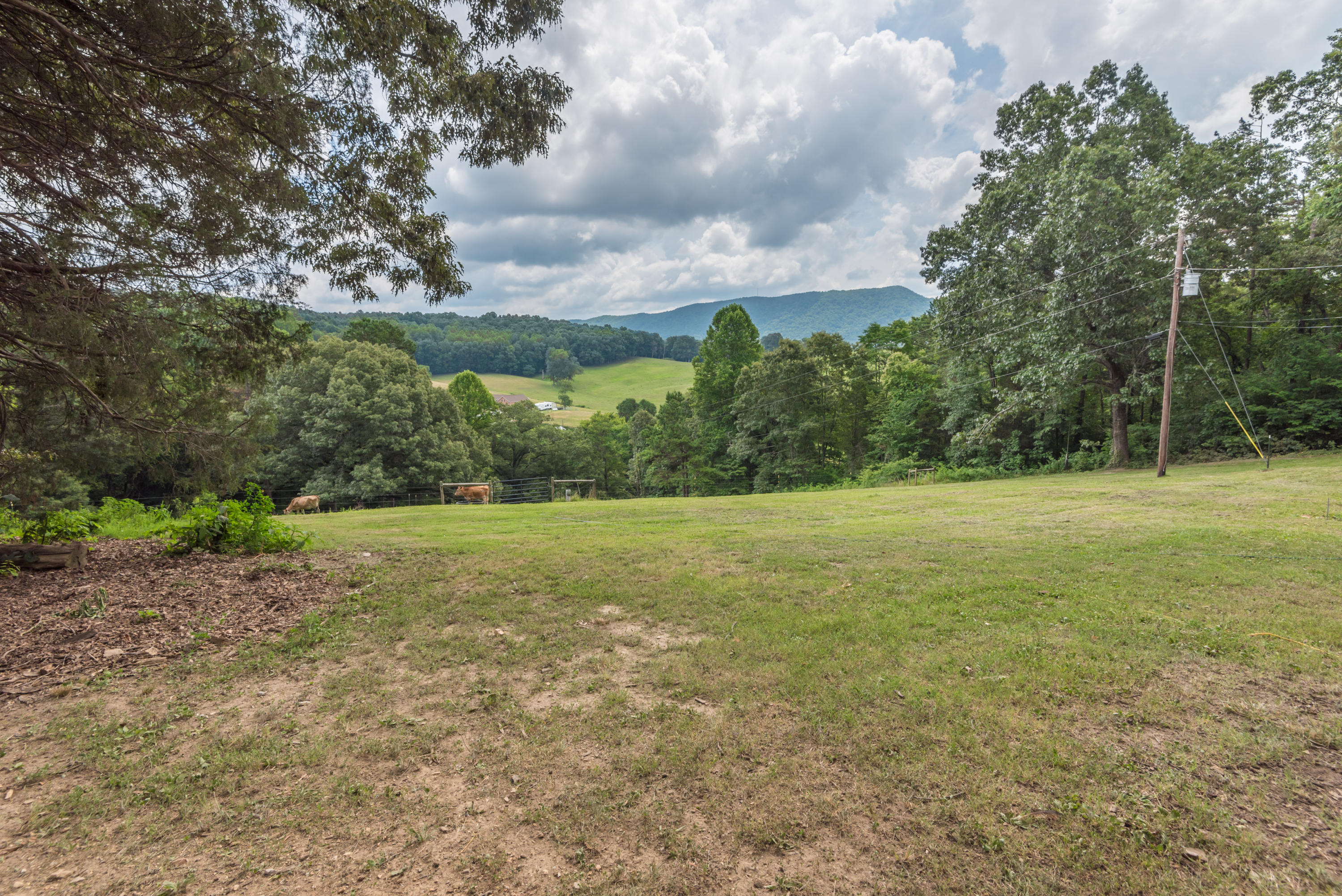 607 Merritt Road Washburn, TN 37888 - Photo 37 of 40 Spacious Back Yard