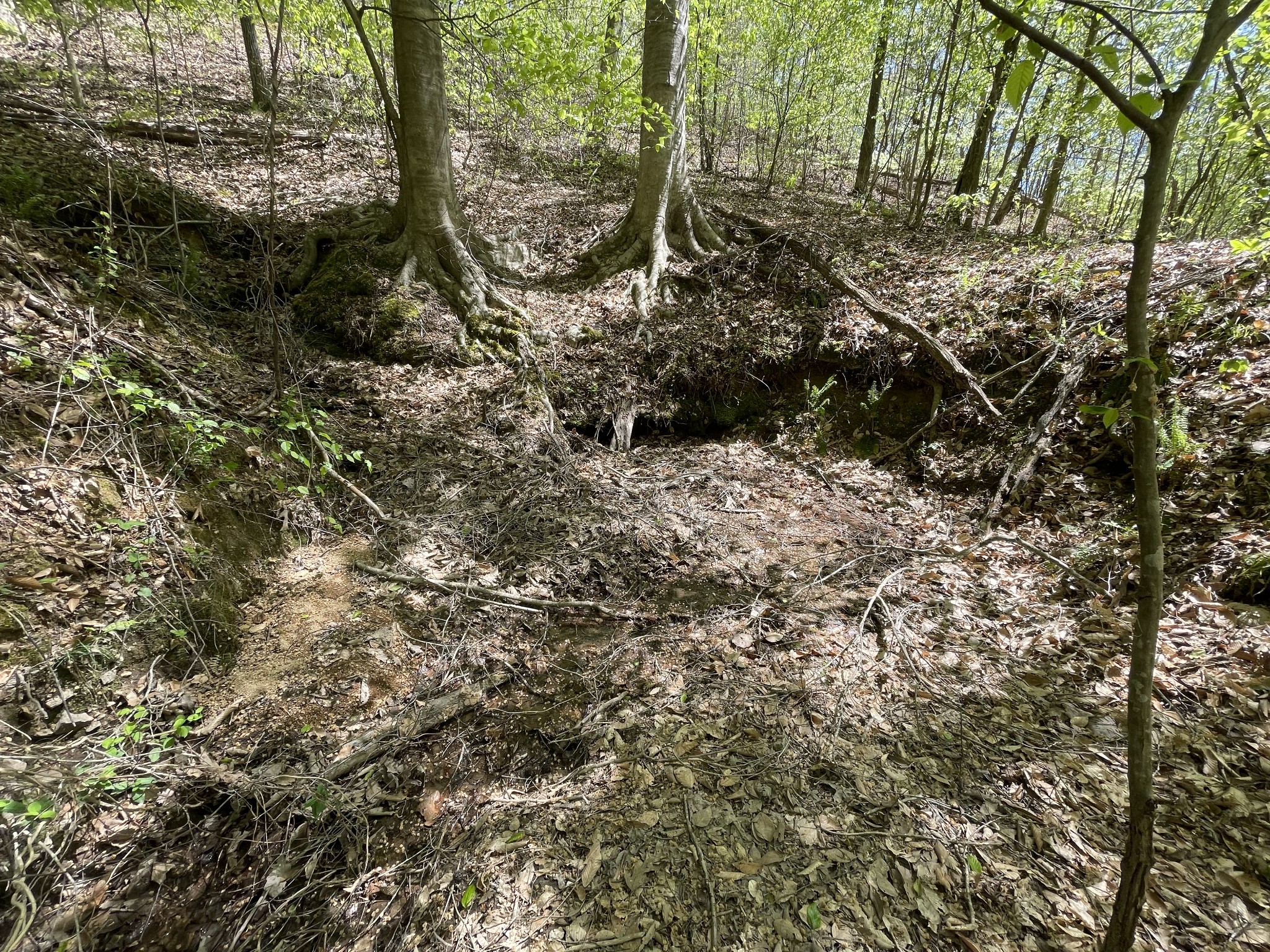 0 Mayberry Spur Road Linden, TN 37096 - Photo 7 of 14 Gallery Image 7