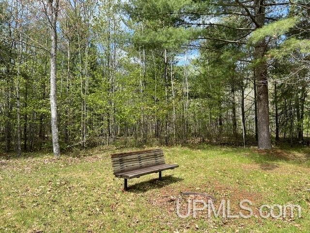 W8001 East Cataline Road Pembine, WI 54156 - Photo 18 of 27