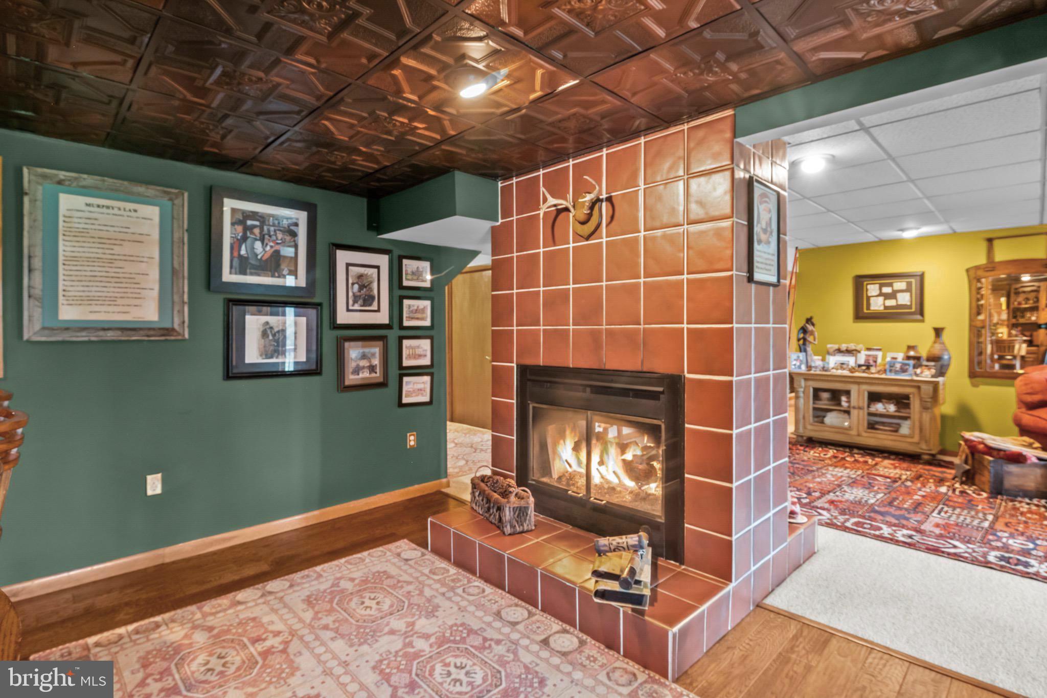 16 Golfview Lane Reading, PA 19606 - Photo 36 of 70 a living room with furniture a flat screen tv and a fireplace