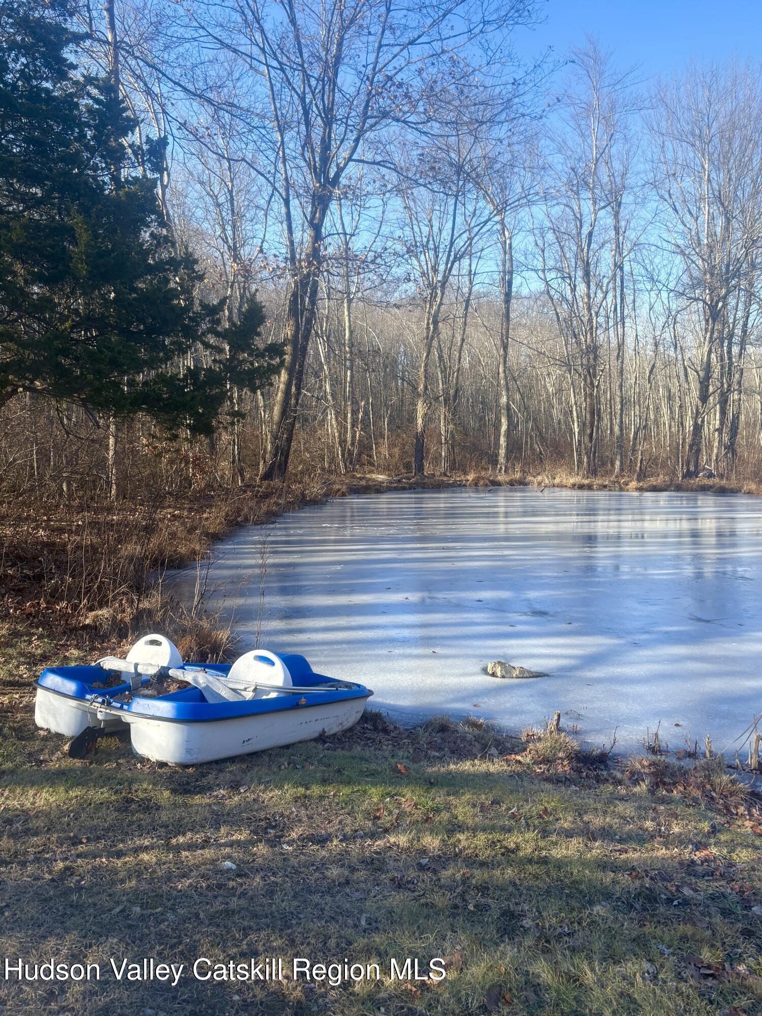 51 Hay Press Road Craryville, NY 12521 - Photo 26 of 27 Pond 1