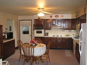770 Dutchman Lake Road Vienna, IL 62995 - Photo 3 of 8