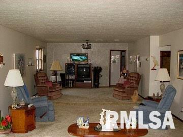 770 Dutchman Lake Road Vienna, IL 62995 - Photo 4 of 8