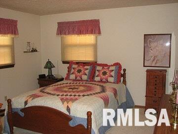 770 Dutchman Lake Road Vienna, IL 62995 - Photo 6 of 8