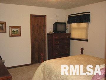 770 Dutchman Lake Road Vienna, IL 62995 - Photo 7 of 8