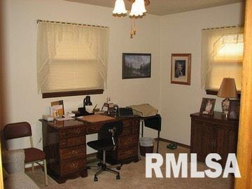 770 Dutchman Lake Road Vienna, IL 62995 - Photo 8 of 8