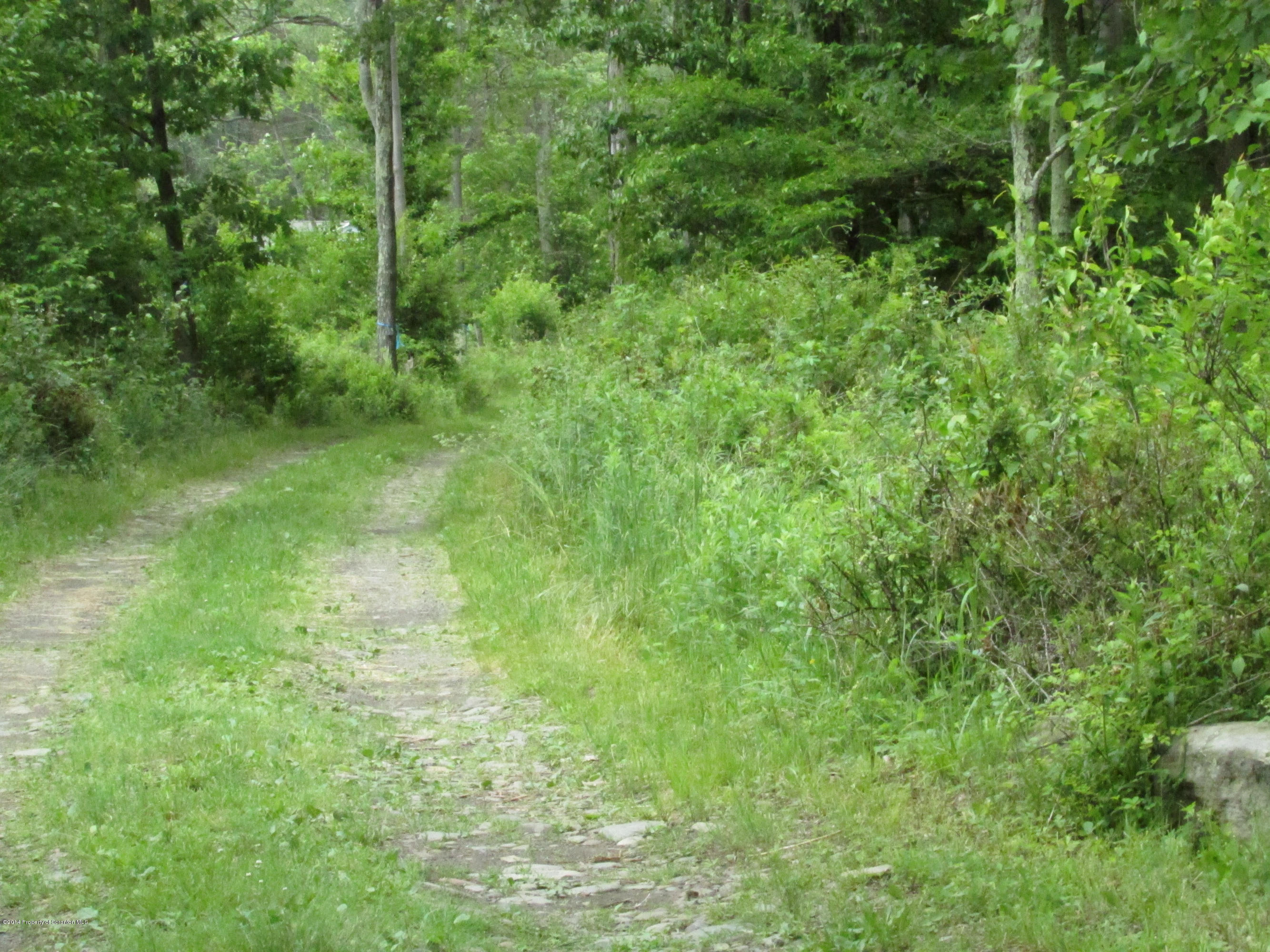 10 Ash Gap Road Moscow, PA 18444 - Photo 3 of 25 a view of a lush green forest