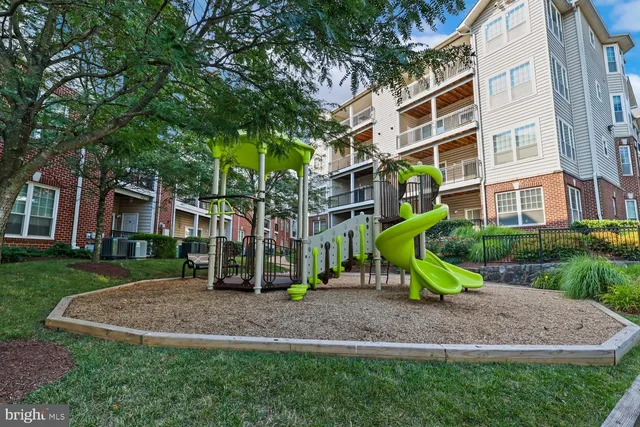 a view of a backyard with plants and a slide