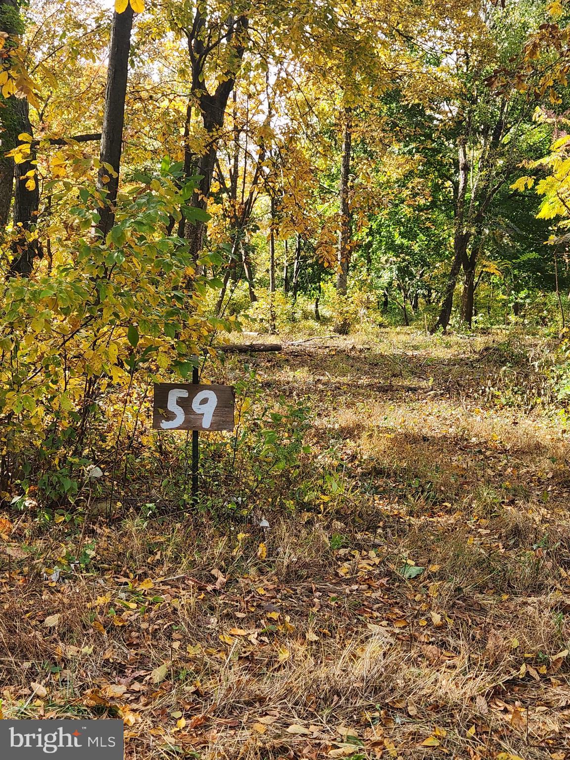 59 Mountaintop Road Cascade, MD 21719 - Photo 7 of 10 a bench sitting in middle of a yard