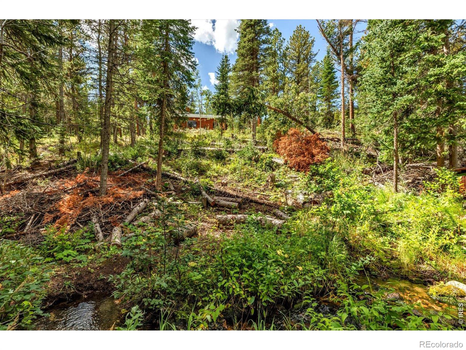 628 County Road Allenspark, CO 80510 - Photo 16 of 26 Gallery Image 16