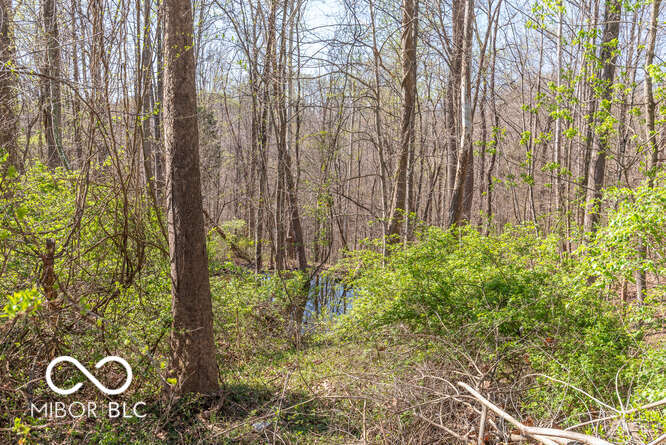 5222 East State Road Bloomington, IN 47401 - Photo 43 of 50