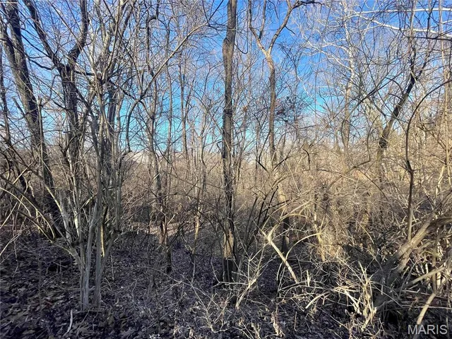 $6,000 | 2460 Huntress Hill Road, High Ridge, MO 63049