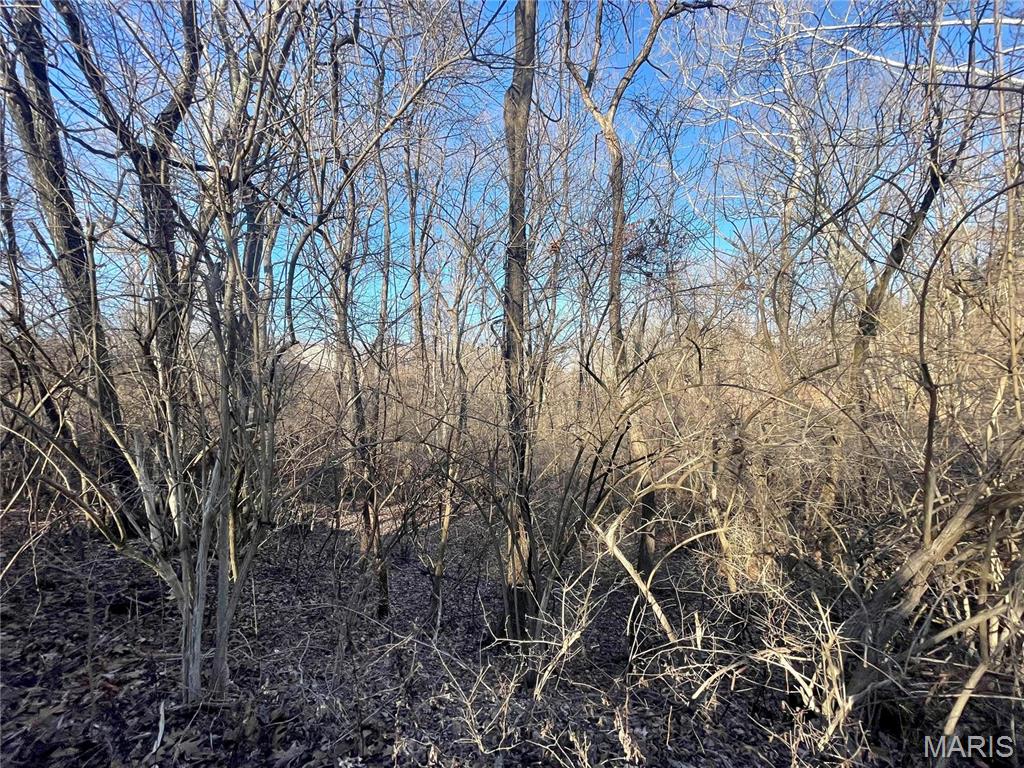 2460 Huntress Hill Road High Ridge, MO 63049 - Photo 3 of 6