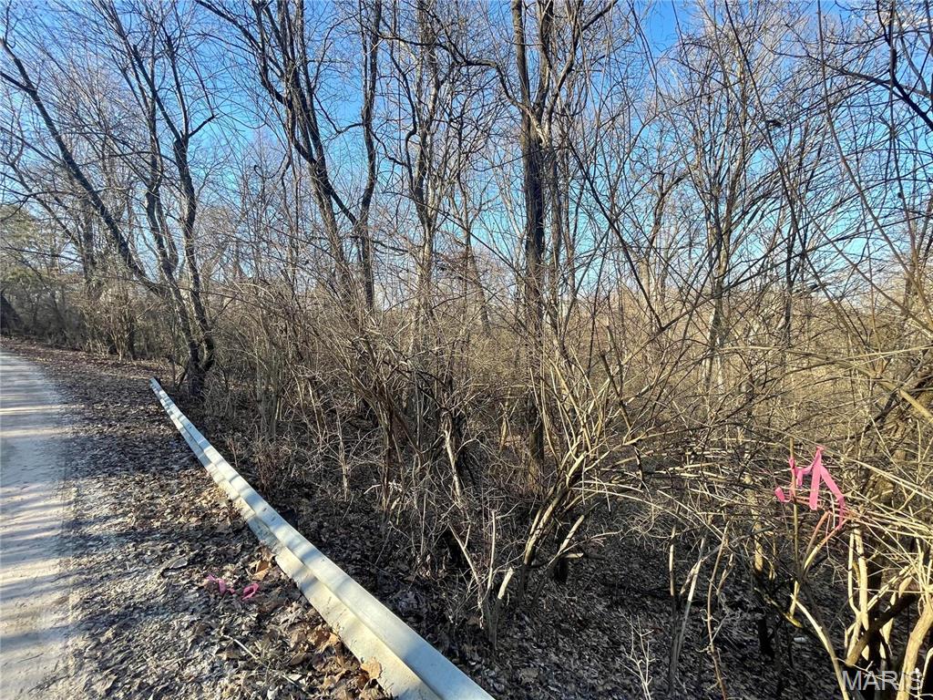 2460 Huntress Hill Road High Ridge, MO 63049 - Photo 5 of 6