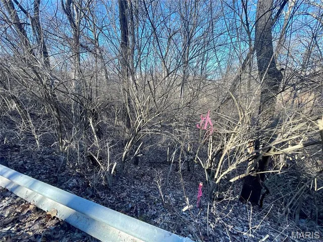 $6,000 | 2460 Huntress Hill Road, High Ridge, MO 63049