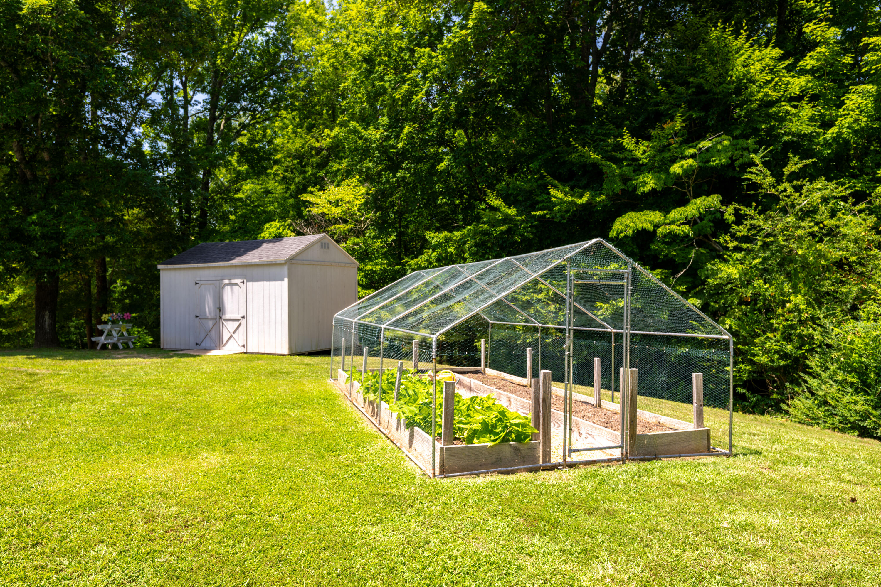 5551 Hunter Road Ooltewah, TN 37363 - Photo 64 of 69 19-print-DSC_2418-23