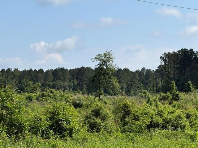 949 Ford Road Homer, LA 71040 - Photo 12 of 16