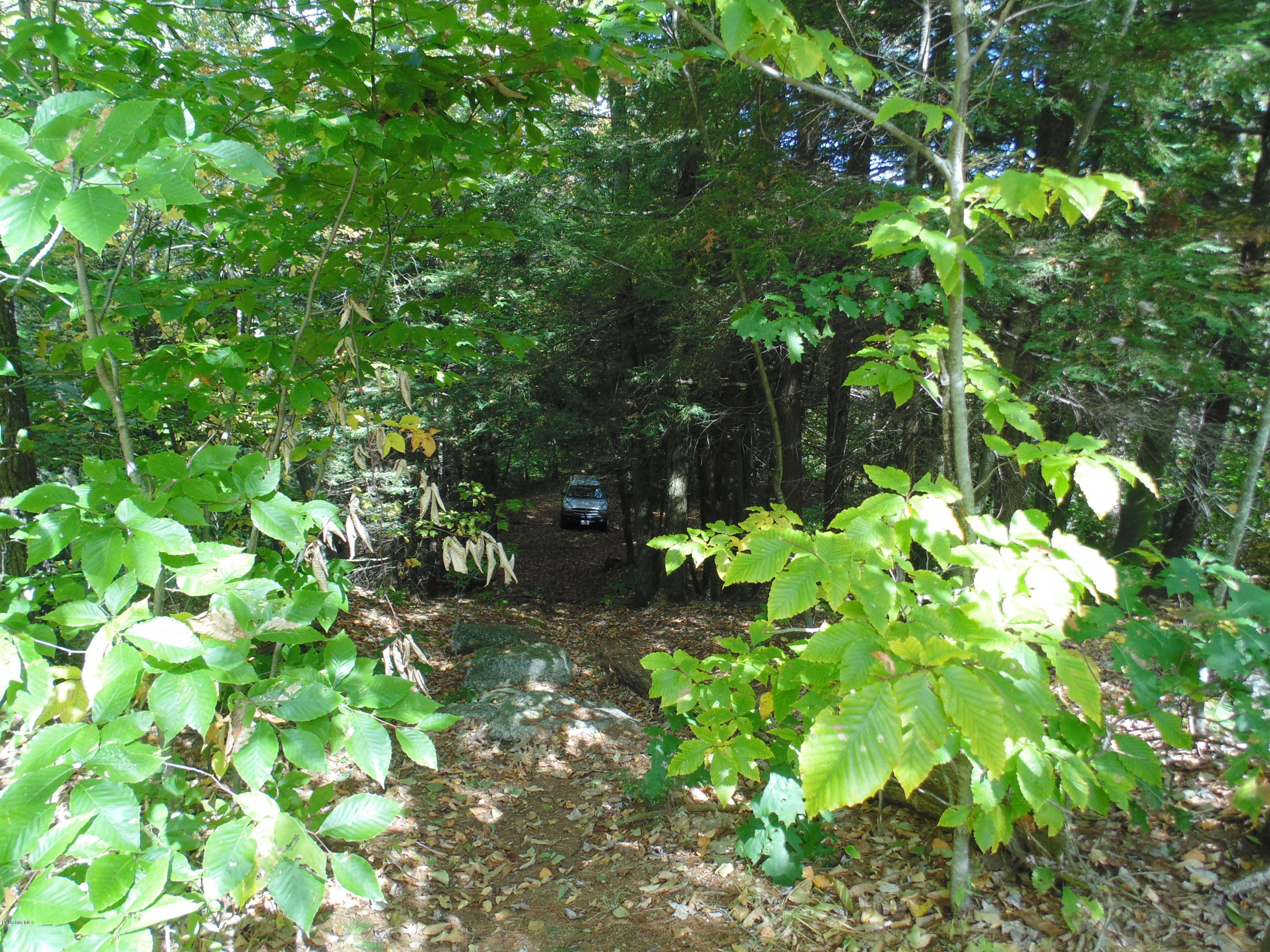 Lot 0 Huntington (rte 20) Road Russell, MA 01071 - Photo 2 of 9 Looking down at the level land.JPG