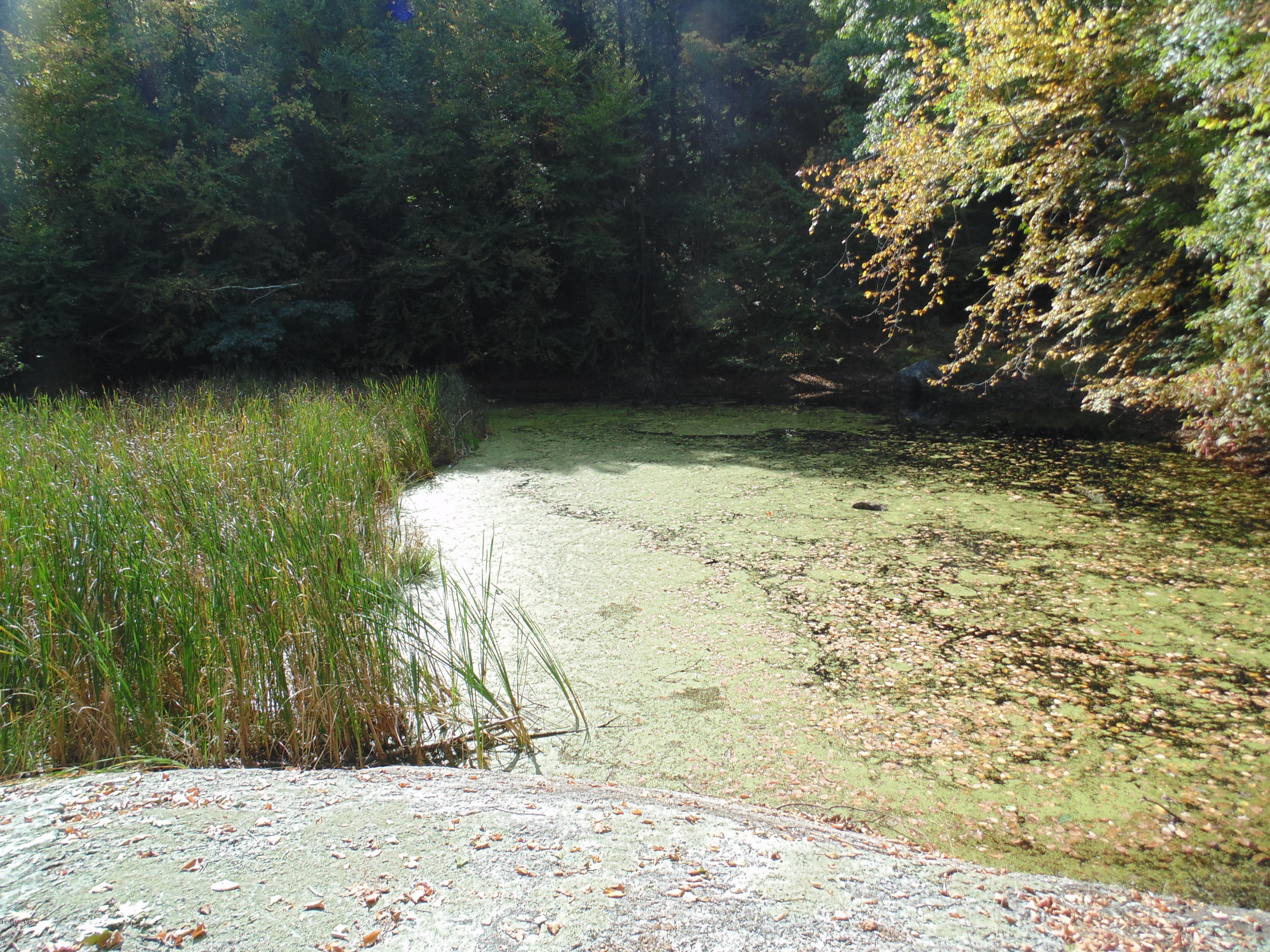 Lot 0 Huntington (rte 20) Road Russell, MA 01071 - Photo 3 of 9 Pond 2.JPG