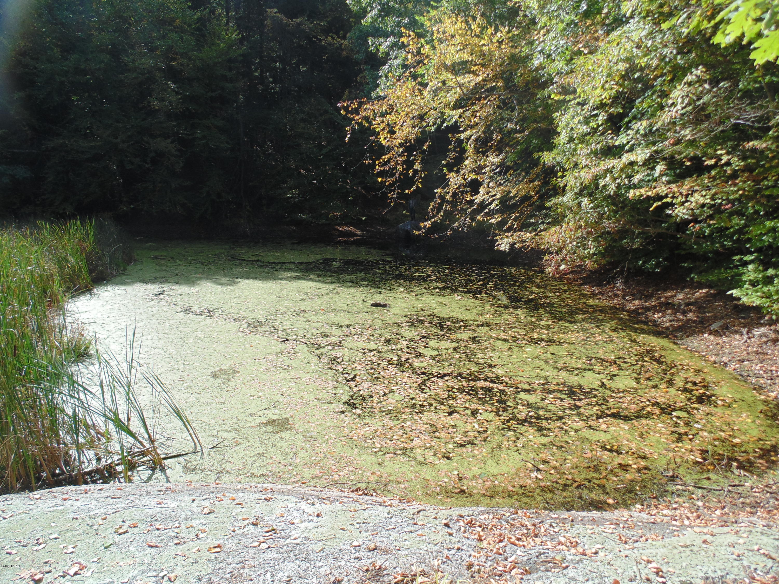 Lot 0 Huntington (rte 20) Road Russell, MA 01071 - Photo 4 of 9 Pond.JPG