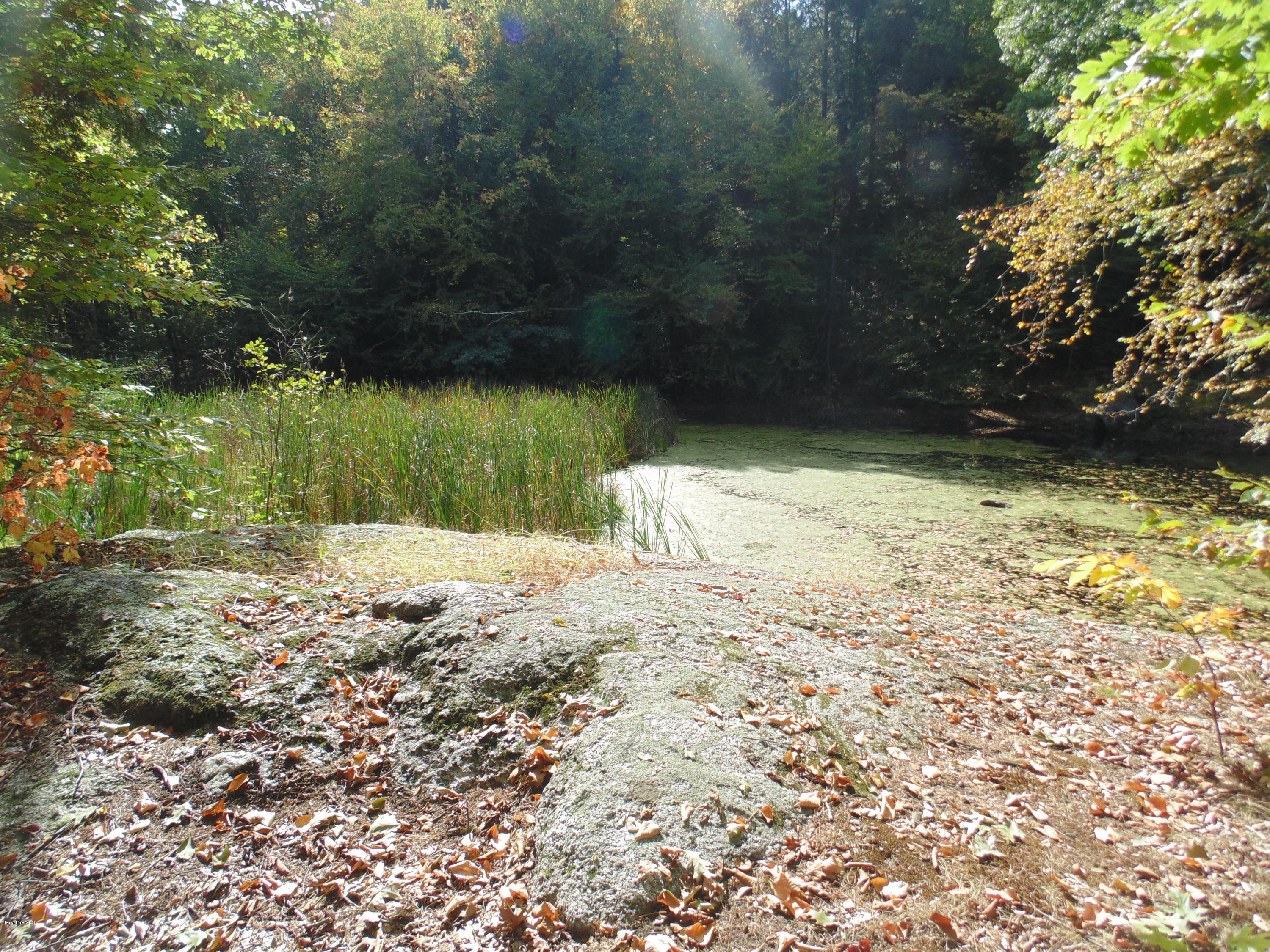 Lot 0 Huntington (rte 20) Road Russell, MA 01071 - Photo 5 of 9 Rock and Pond.JPG