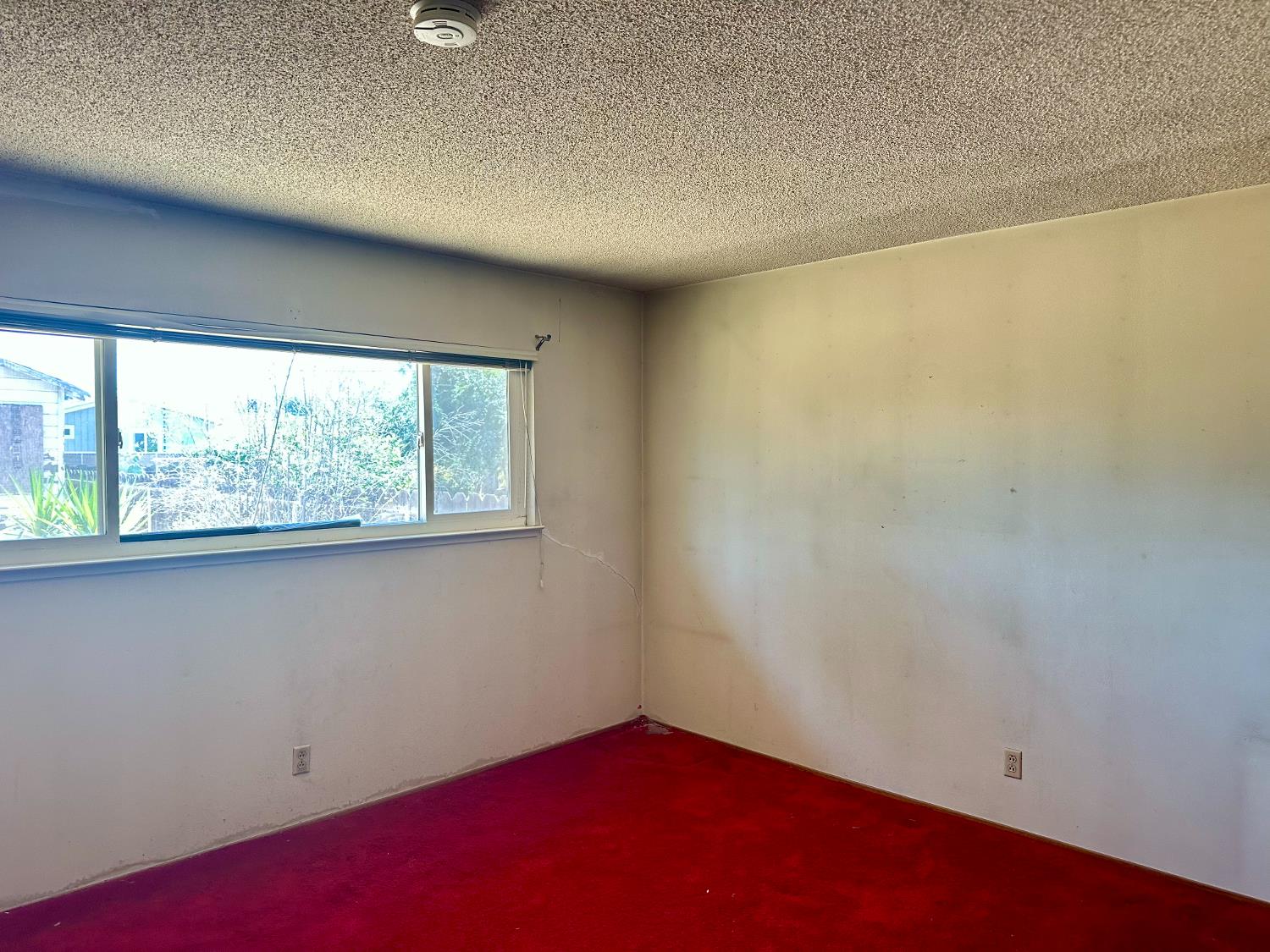 2153 Knowles Street Selma, CA 93662 - Photo 11 of 20