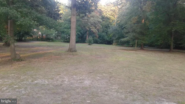 a view of a field with trees in the background
