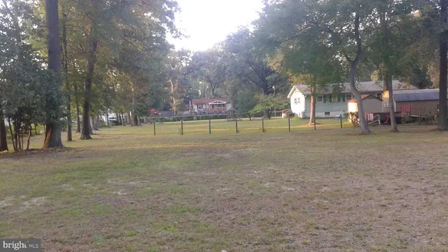 a view of a park with large trees