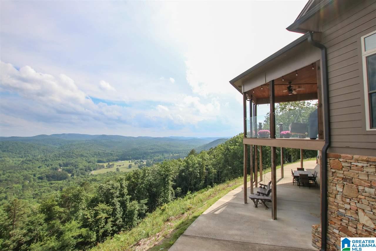 394 Drake Drive Springville, AL 35146 - Photo 41 of 49