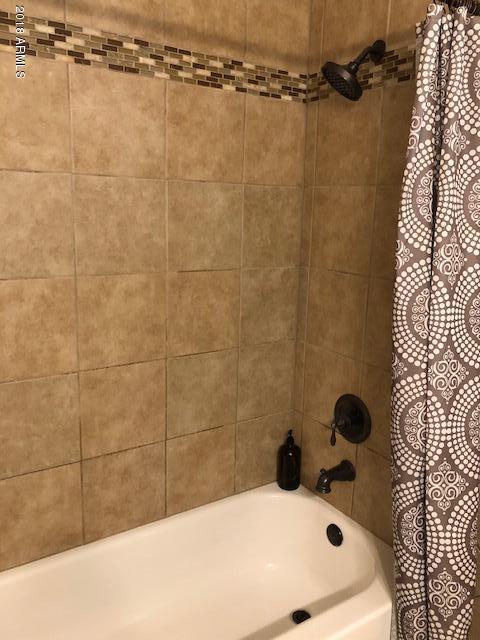 4173 South Martingale Road Gilbert, AZ 85297 - Photo 17 of 28 bath