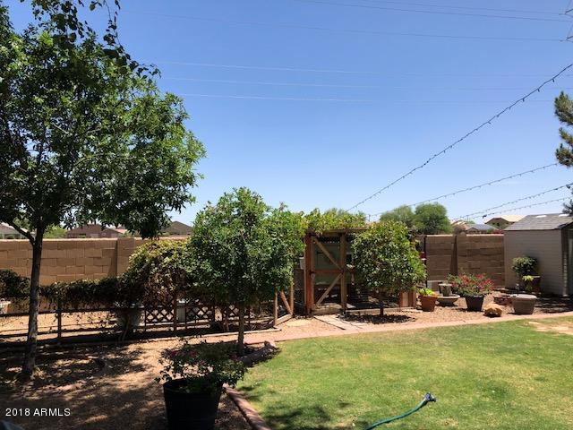 4173 South Martingale Road Gilbert, AZ 85297 - Photo 25 of 28 backyard2