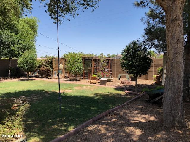 4173 South Martingale Road Gilbert, AZ 85297 - Photo 26 of 28 backyard3