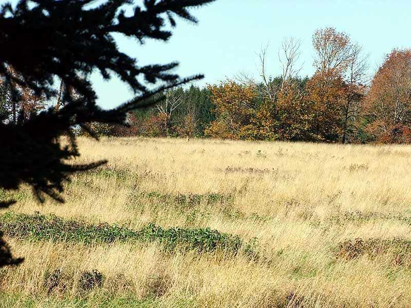 Lot 33 Fletcher Road Monticello, ME 04760 - Photo 24 of 24 Land.