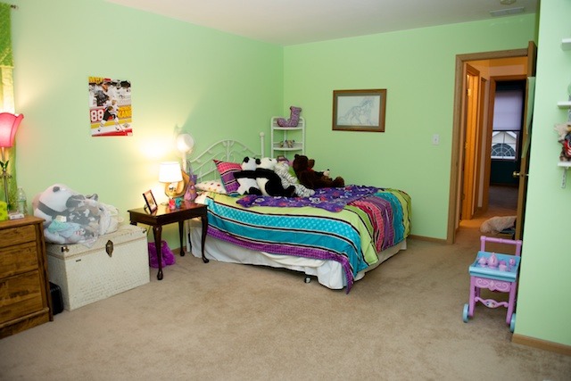16247 Rookery Drive Crest Hill, IL 60403 - Photo 10 of 20