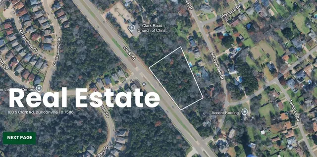 a view of a tree in a yard