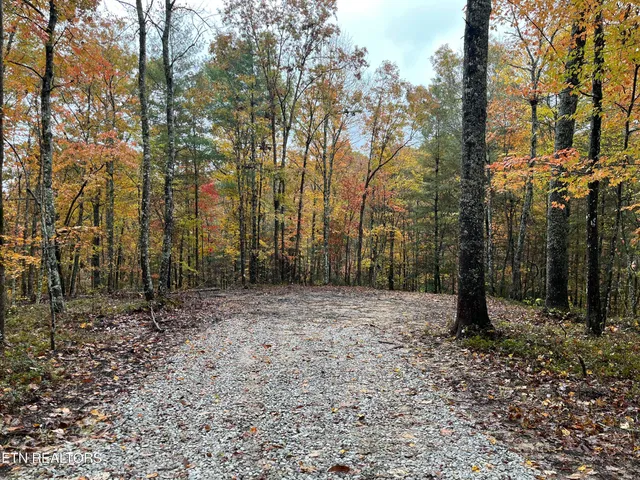 $70,000 | 0 West Wilderness Trail, Oneida, TN 37841